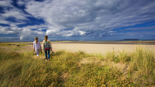 Malahide Beach Co master