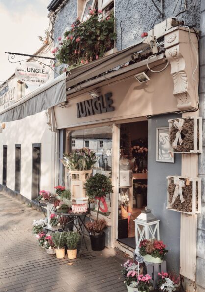 Malahide village Co Dublin master 1 2