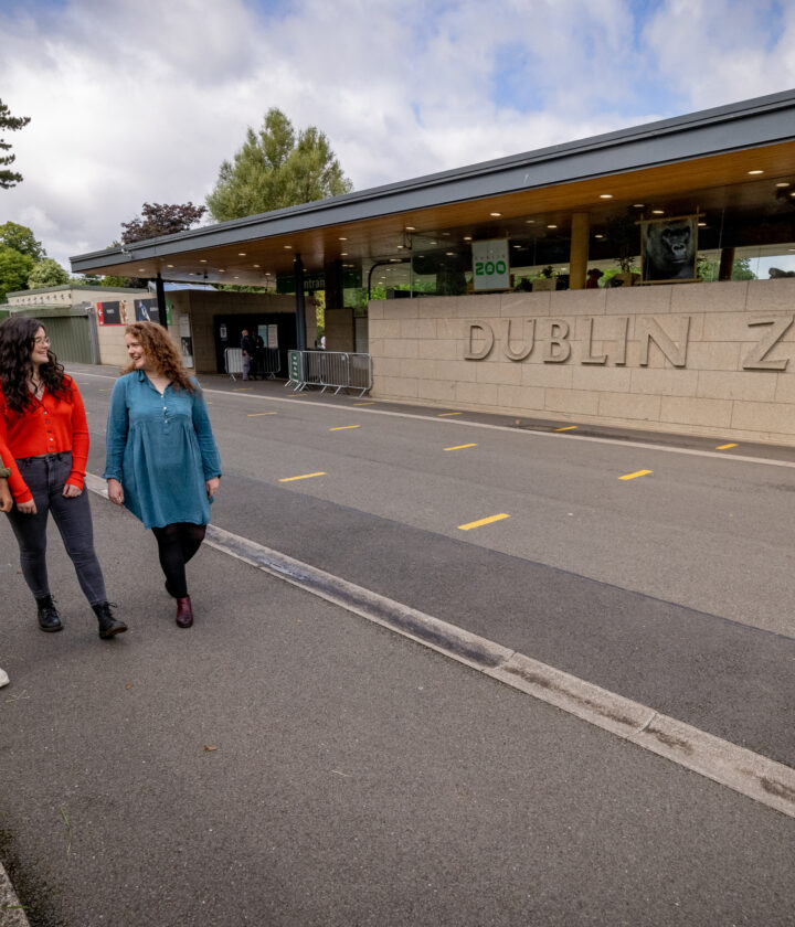 The Zoo exterior, The Phoenix Park, Dublin City