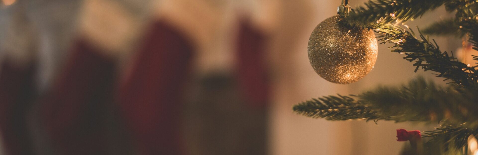 chad madden SUTfFCAHV A unsplash