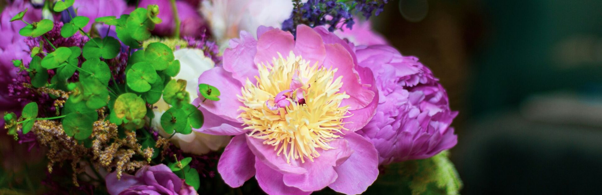 simon godfrey lh5sfgWqq9Y unsplash