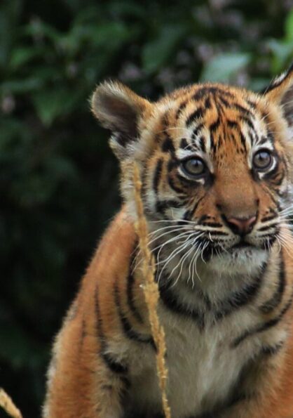 Midterm Magic 1 1 e1769421575293