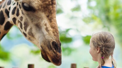 Spring by the Sea 1 e1769421656671