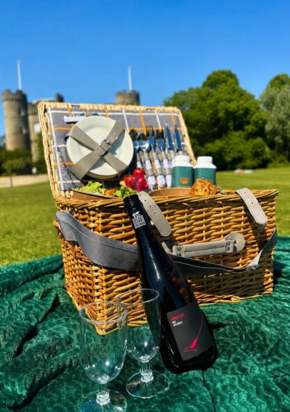 Couples Castle Picnic 3
