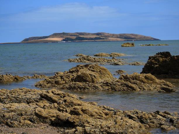 Lambay Island Tours