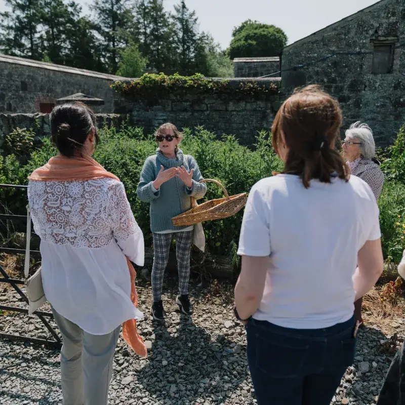 The Herb School Foraging Walk